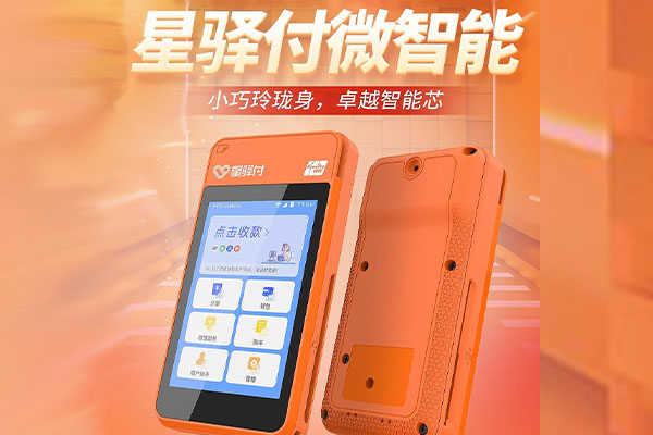 左贡国通微电签POS机